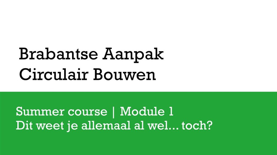 Bericht Summer course module 1: het Nieuwe Normaal, het BACB-abc en wie-doet-wat in Brabant bekijken
